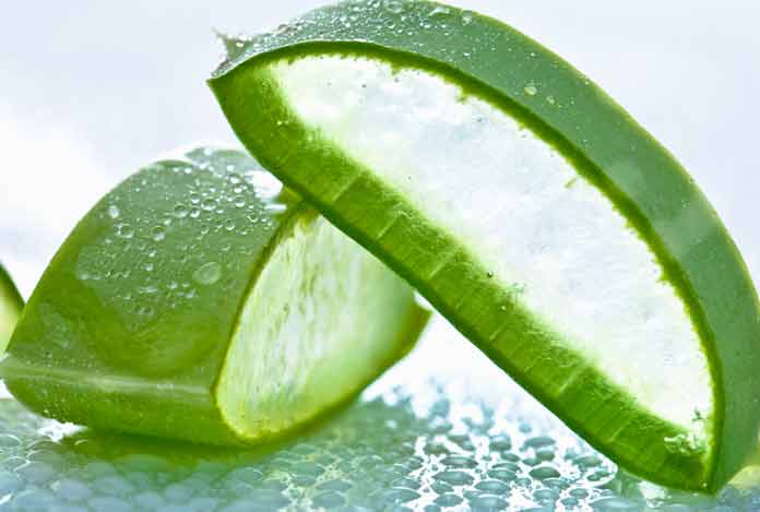 Aloe Vera for Digestion