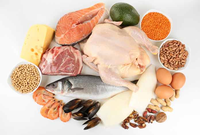 Include Ample of Protein in your Diet Plan for reduce belly fat