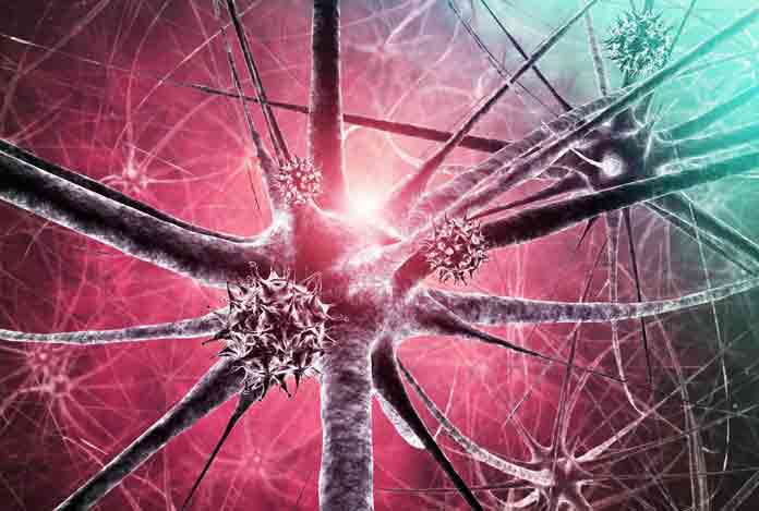 Overview and Statistical Facts of Encephalitis