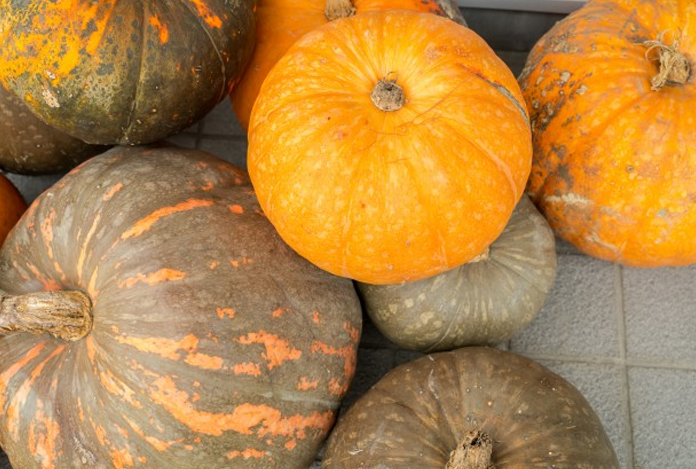 Pumpkin can rescue you out of this abyss for Infertility in Men