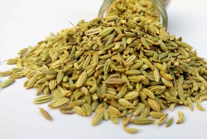 Fennel Seeds for Digestion