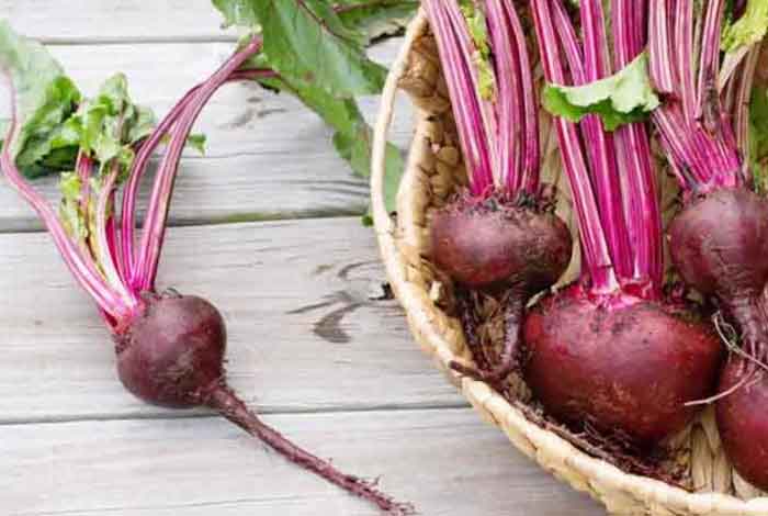 beetroot leaves 