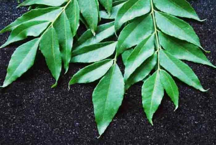 curry leaves