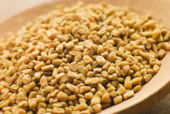 fenugreek