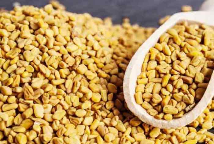 fenugreek seeds methi