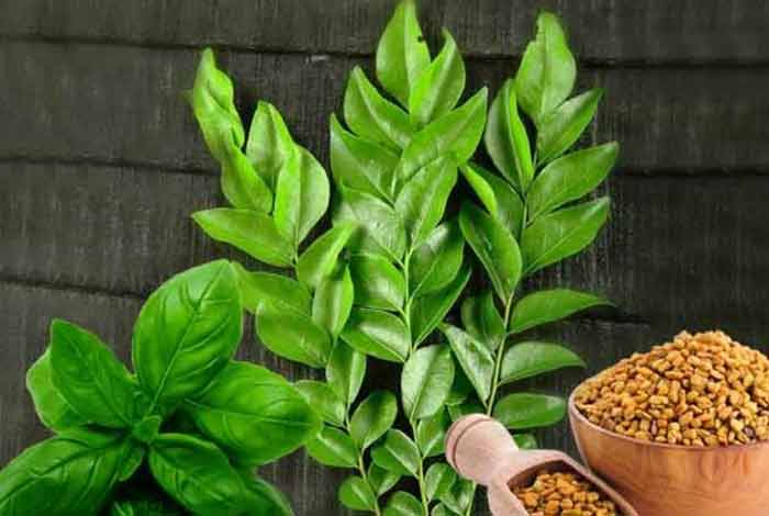 fenugreek seeds with basil and curry leaves