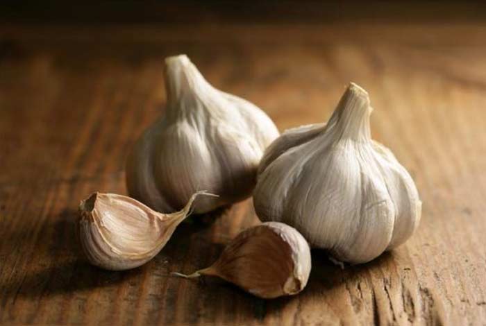 garlic