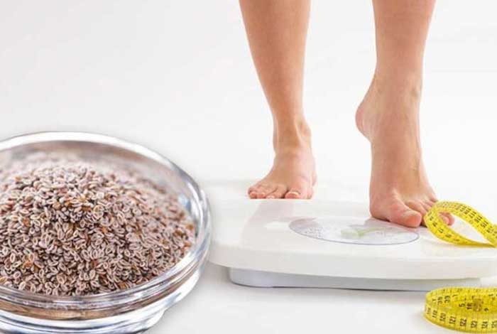 how psyllium husk helps in weight management