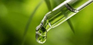 know cbd cbd oil and its derivative