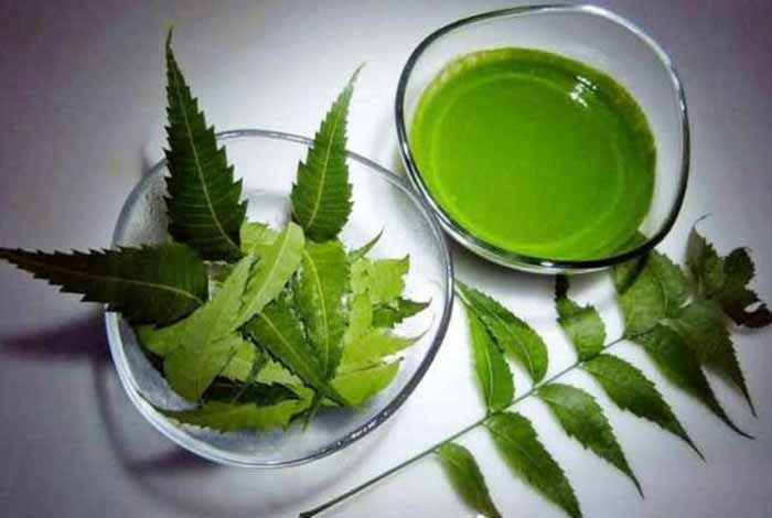 neem paste