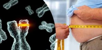 obesity linked to newly discovered mutation in gene offering new possibilities for treatment
