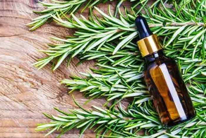 rosemary oil