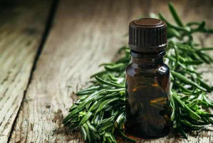 tea tree oil