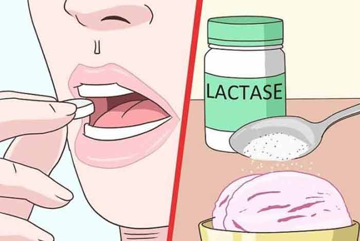 treatment of lactose intolerance