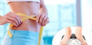 weight loss diet plans