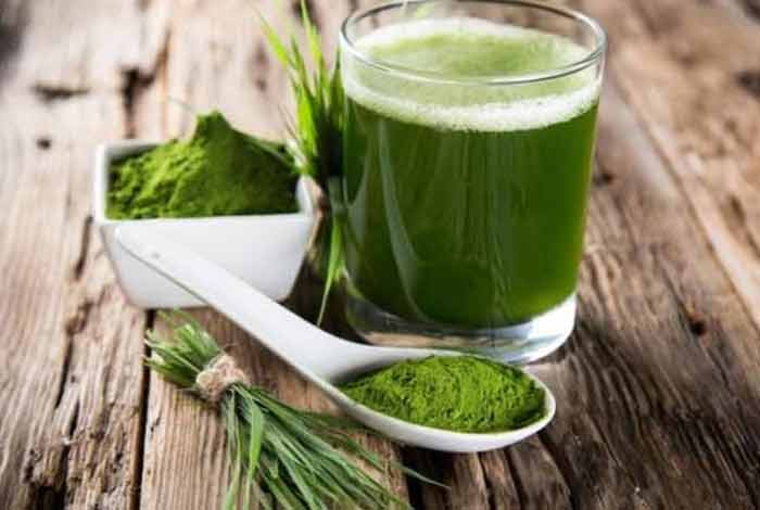 wheatgrass