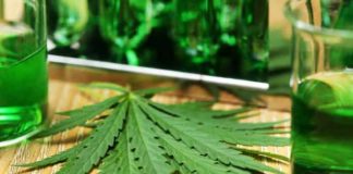 Cannabidiol — Benefits and Effects