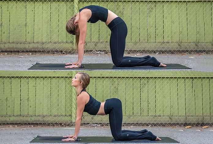 Cat/cow flow for Does Yoga Really Help in Sexual Wellness