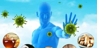 Foods That Can Help Boost Immunity