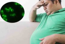 an enzyme plays a significant role in calories burned during obesity and dieting