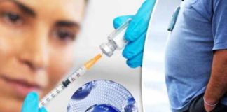 antiobesity drugs in nanoparticles can effectively target fat cells