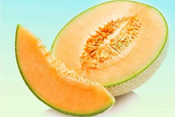 cantaloupe