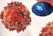 dna nanorobots programmed to combat cancer by searching and destroying tumors