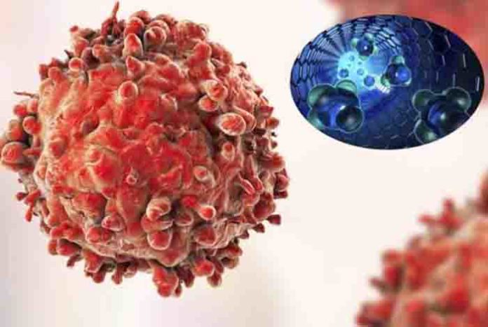 dna nanorobots programmed to combat cancer by searching and destroying tumors