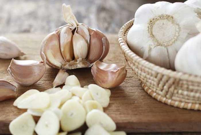 garlic