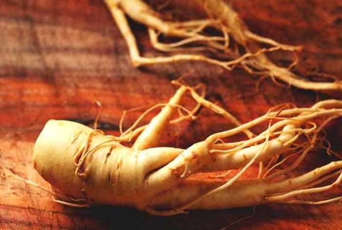 ginseng