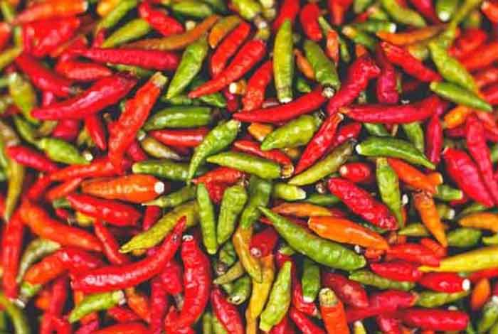 hot-peppers