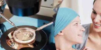 lab-grown human eggs might improve fertility treatments