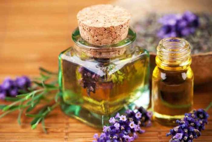 lavender oil