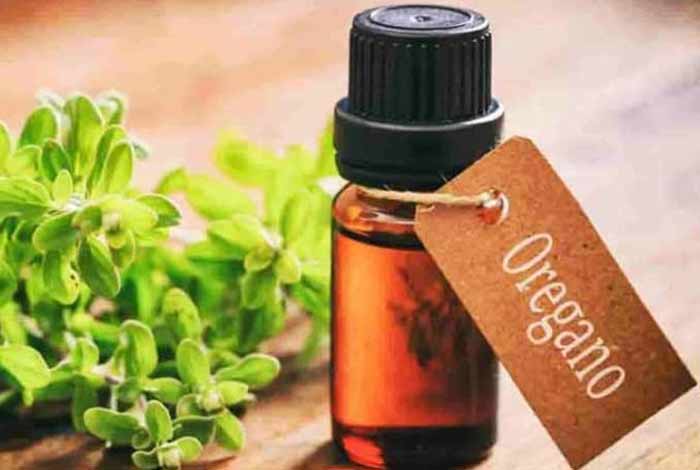 oregano oil