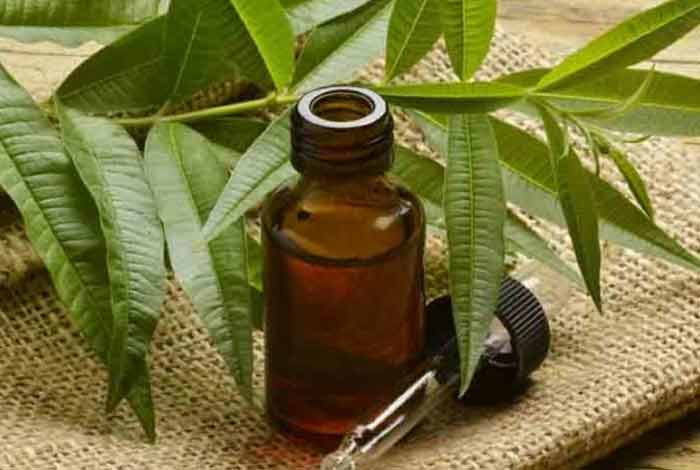 tea tree oil 
