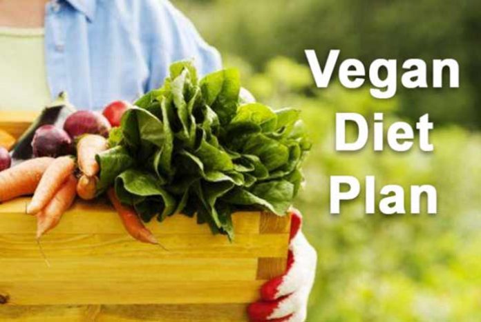 vegan diet plan go organic