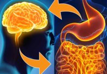 Is There a Link Between Gut, Mind and wellness – Deepak Chopra Deepak Chopra On Gut Mind andWellness