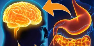 Deepak Chopra On Gut Mind andWellness