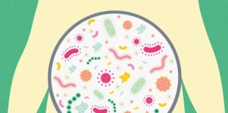 Want Healthy Bacteria in Your Gut Diet Is the key