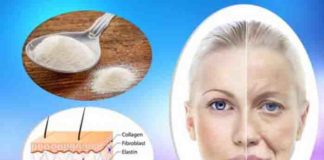 can collagen supplement really reverse aging