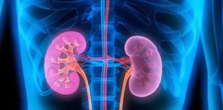 chronic kidney disease causes symptoms diagnosis and treatment