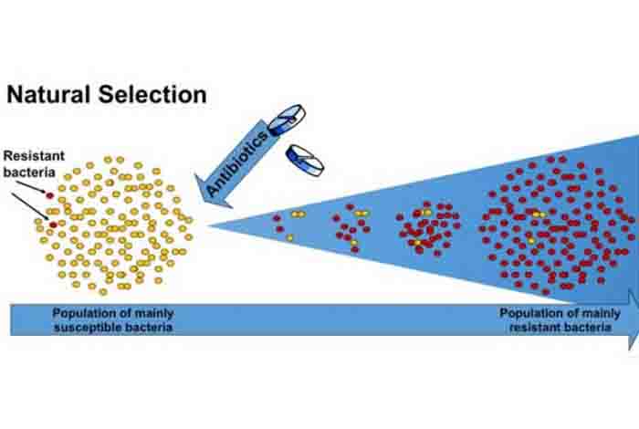 science behind the drug resistance 