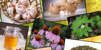 Top 7 Natural Antibiotics for Safe and Effective Treatment of Infections top 7 natural antibiotics for safe and effective treatment of infections