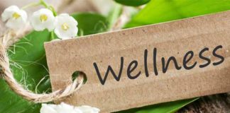 Wellness Movement – A New Approach to Stay Healthy Wellness Movement - A-New Approach to Stay Healthy