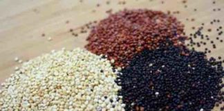 complete and incomplete proteins – the quality of food matters