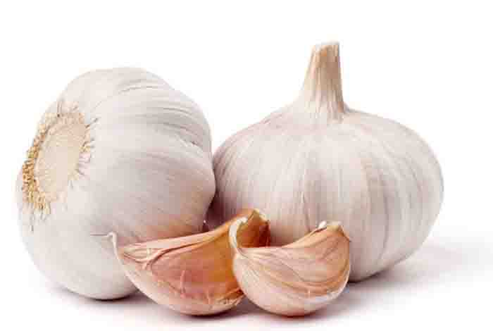 garlic