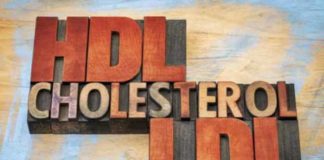 LDL vs. HDL Cholesterol – Which One Is Good for Your Health? dl vs hdl cholesterol which one Is good for your health