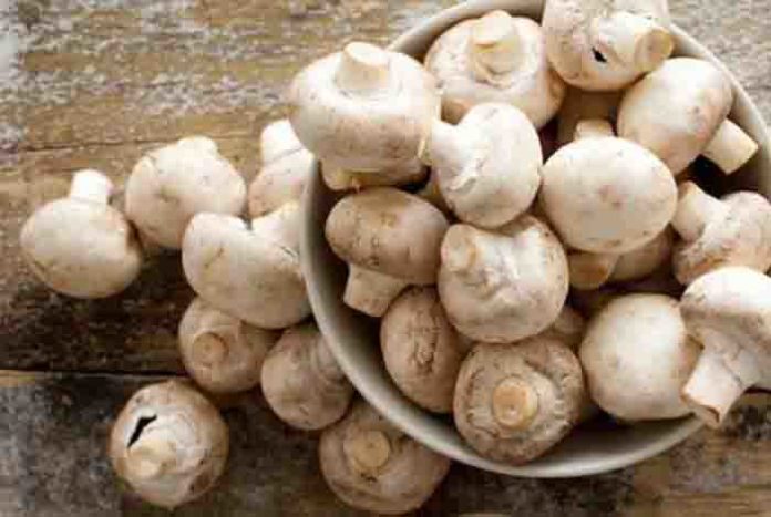 these amazing mushroom supplements will make you feel better without getting you high