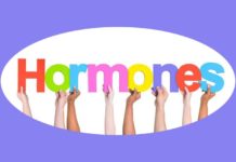 Hormones – The Secret to Healthy Metabolism