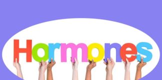 Hormones – The Secret to Healthy Metabolism
